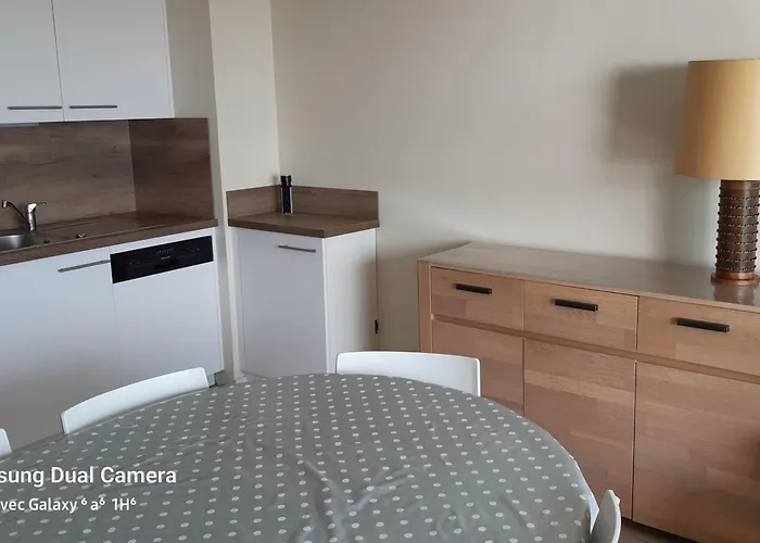 Bel T3 Avec Balcon, Wi-fi, 2 Pour 6 Pers - Fr-1-331-17 莱萨布勒-多洛讷