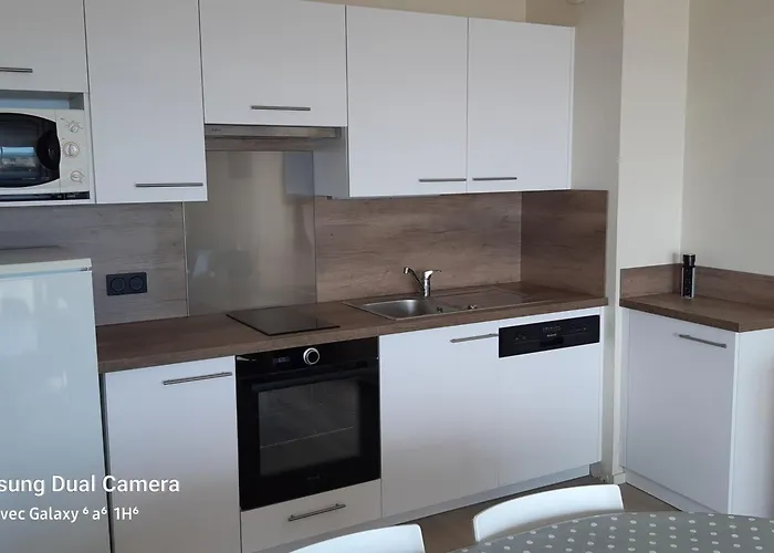 公寓 Bel T3 Avec Balcon, Wi-fi, 2 Pour 6 Pers - Fr-1-331-17 莱萨布勒-多洛讷